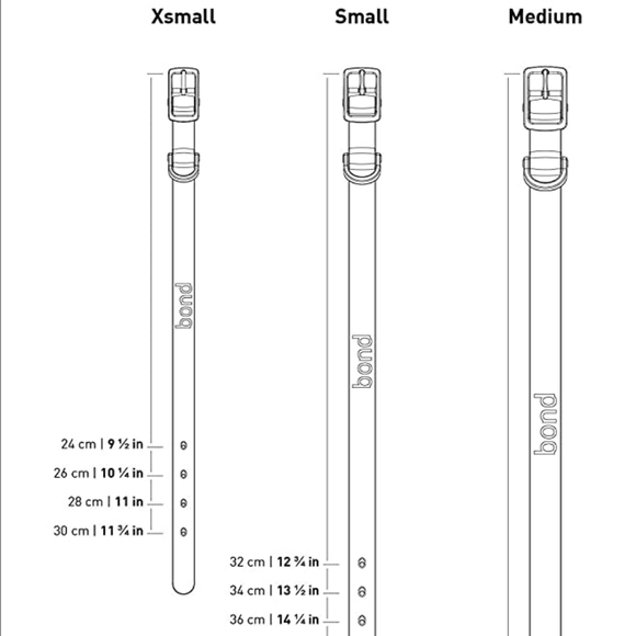 Waterproof Dog Collar - Picture 4 of 4